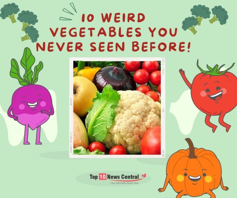 10 Weird Vegetables You Never Seen Before! Top 10 News Central