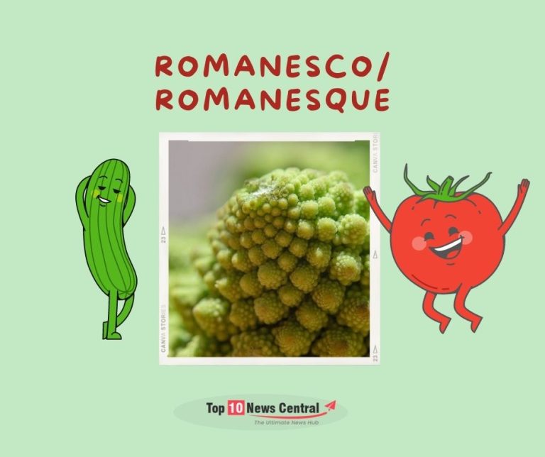 10 Weird Vegetables You Never Seen Before! Top 10 News Central