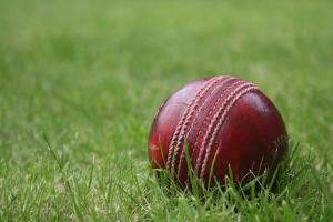 10 Protective Accessories For Playing Safe Cricket